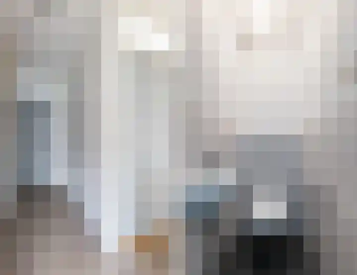 't Zuden 131 Leek thumbnail 19