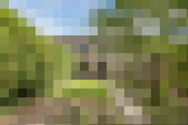 't Zuden 131 Leek foto 2