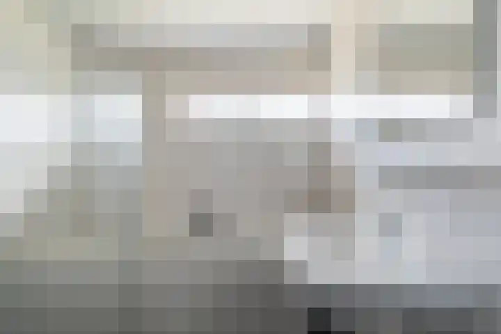 't Zuden 131 Leek thumbnail 20