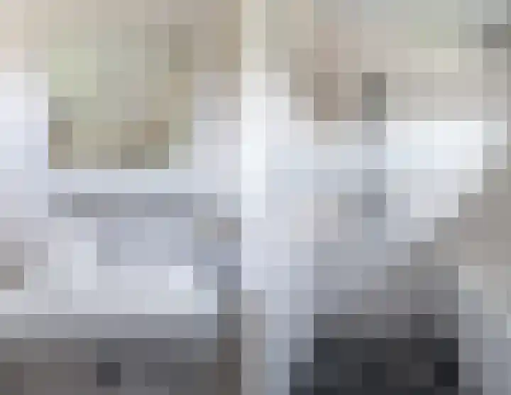 't Zuden 131 Leek thumbnail 21