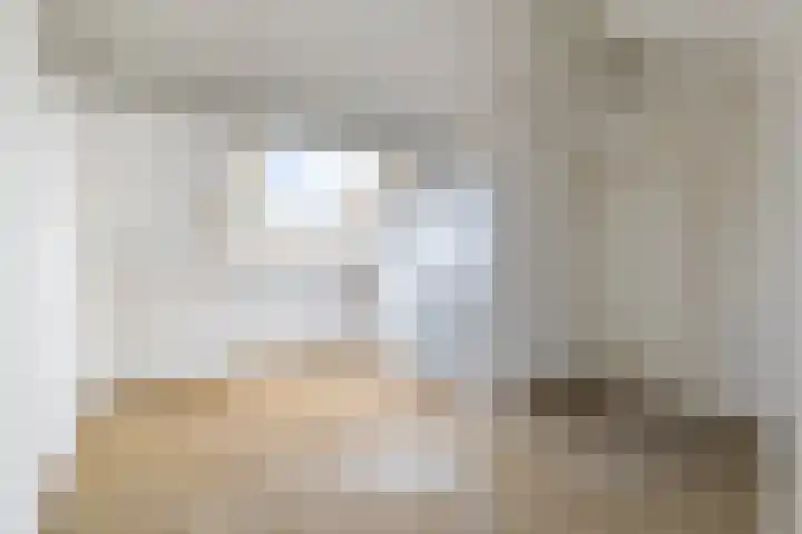 't Zuden 131 Leek thumbnail 24