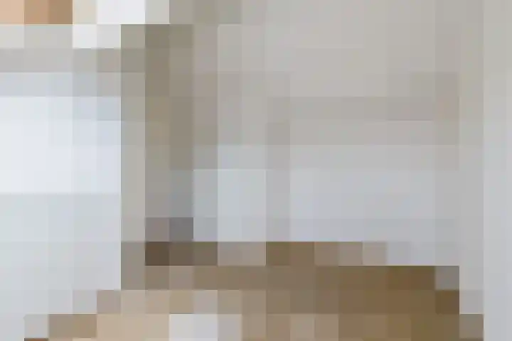 't Zuden 131 Leek thumbnail 25