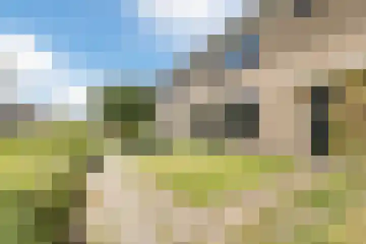 't Zuden 131 Leek thumbnail 26