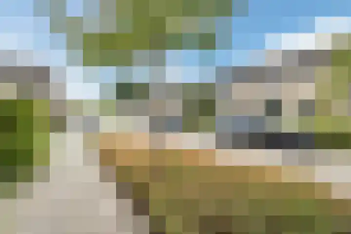 't Zuden 131 Leek thumbnail 27