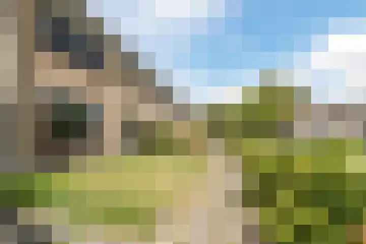 't Zuden 131 Leek thumbnail 28