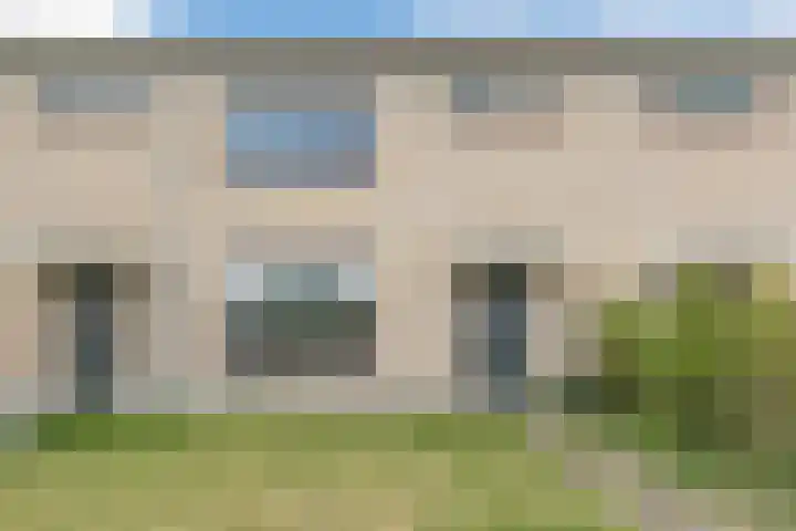 't Zuden 131 Leek thumbnail 4