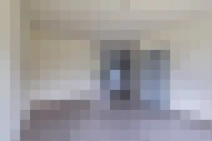 't Zuden 131 Leek thumbnail 5