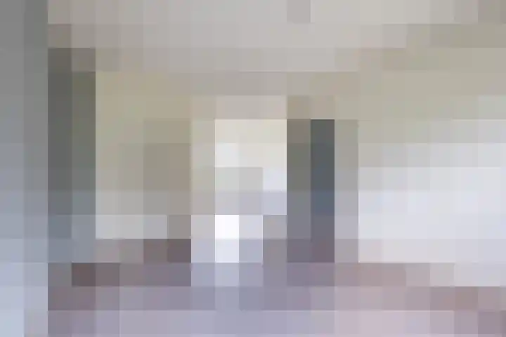 't Zuden 131 Leek thumbnail 6