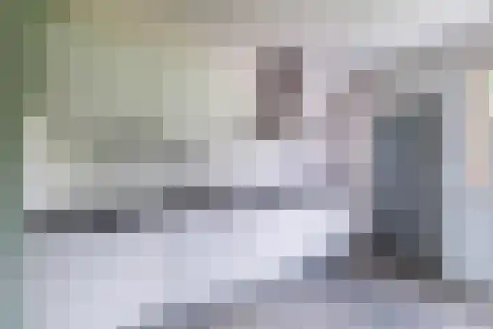 't Zuden 131 Leek thumbnail 7