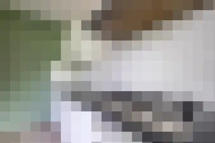 't Zuden 131 Leek thumbnail 8
