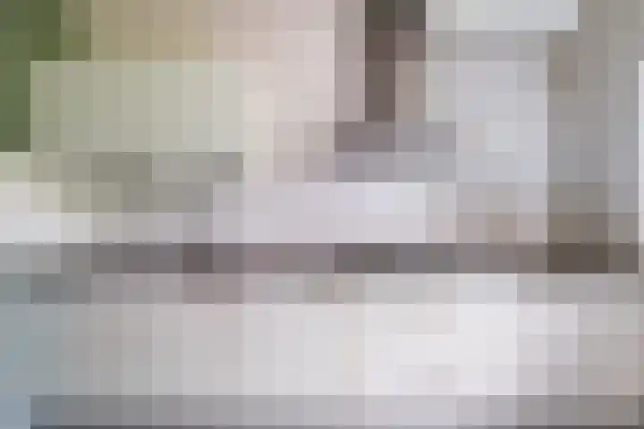 't Zuden 131 Leek thumbnail 9