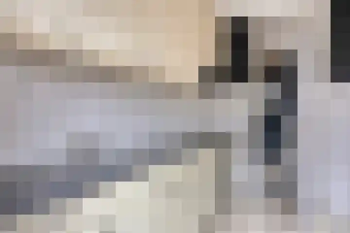 't Zuden 24 Leek thumbnail 11