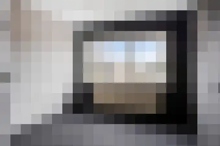 't Zuden 24 Leek thumbnail 13