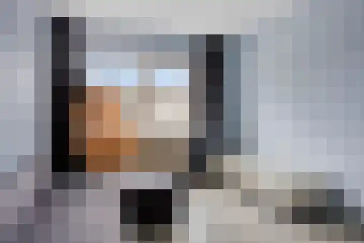 't Zuden 24 Leek thumbnail 16