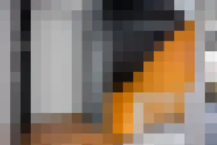 't Zuden 24 Leek thumbnail 23