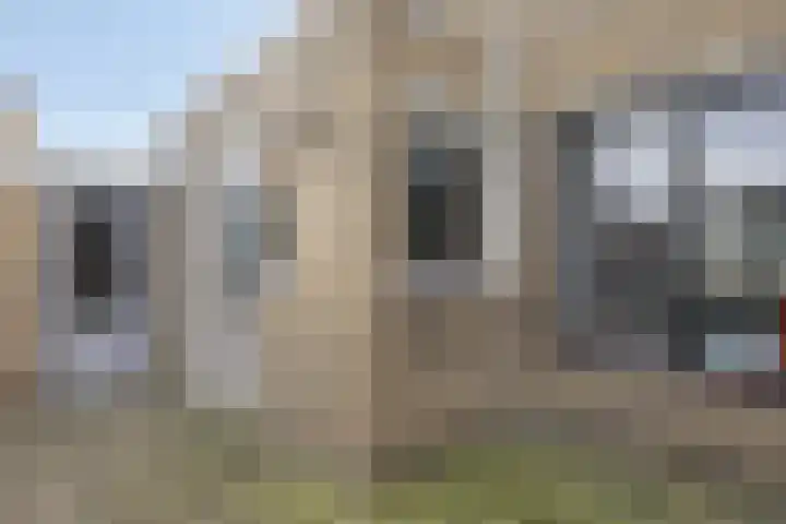 't Zuden 24 Leek thumbnail 27