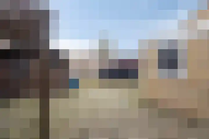 't Zuden 24 Leek thumbnail 29