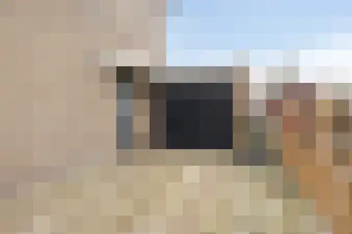 't Zuden 24 Leek thumbnail 30