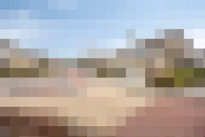 't Zuden 24 Leek thumbnail 34