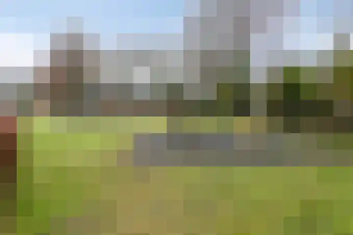 't Zuden 24 Leek thumbnail 36