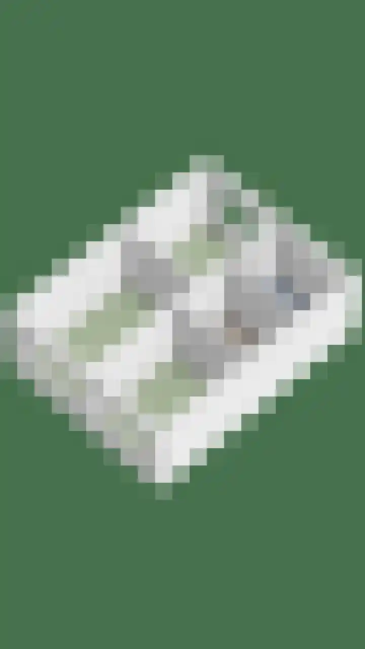 't Zuden 24 Leek thumbnail 44