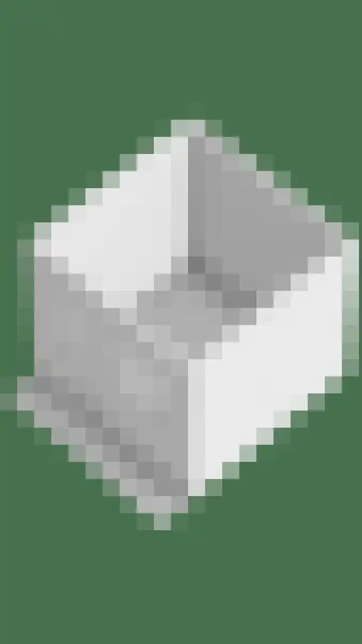 't Zuden 24 Leek thumbnail 46