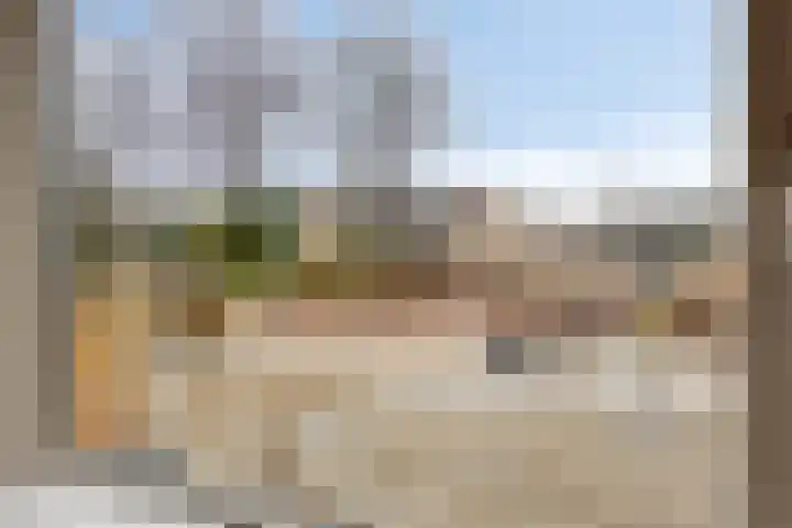 't Zuden 24 Leek thumbnail 6
