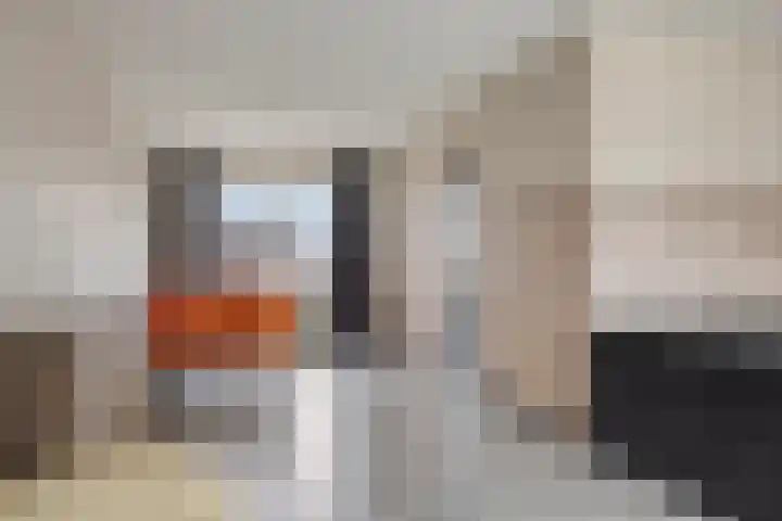 't Zuden 24 Leek thumbnail 8
