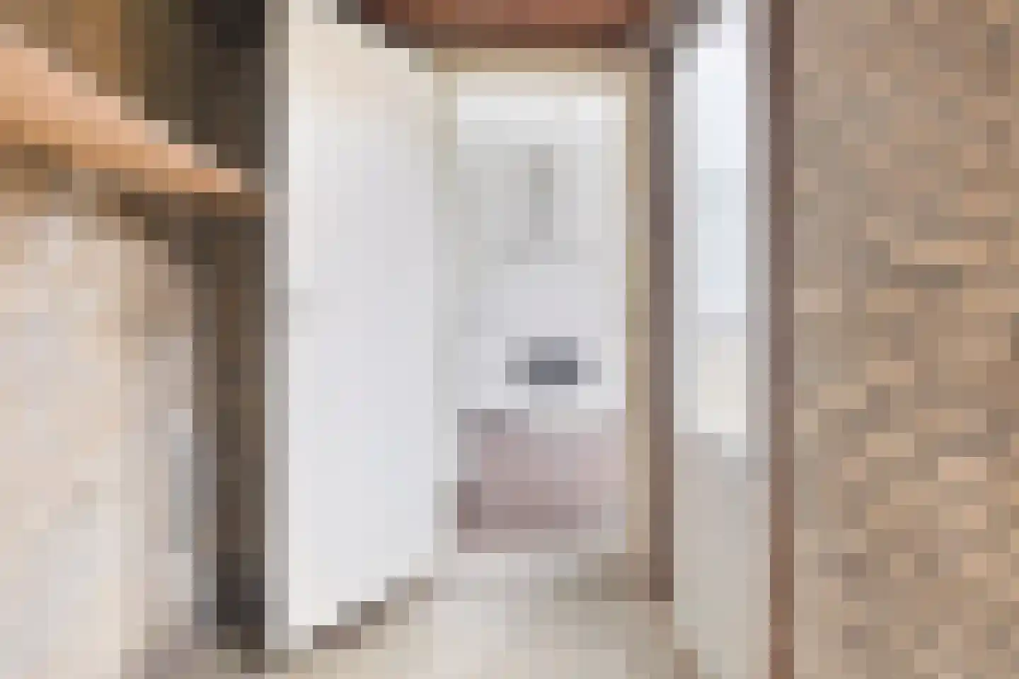 't Zuden 25 Leek thumbnail 10