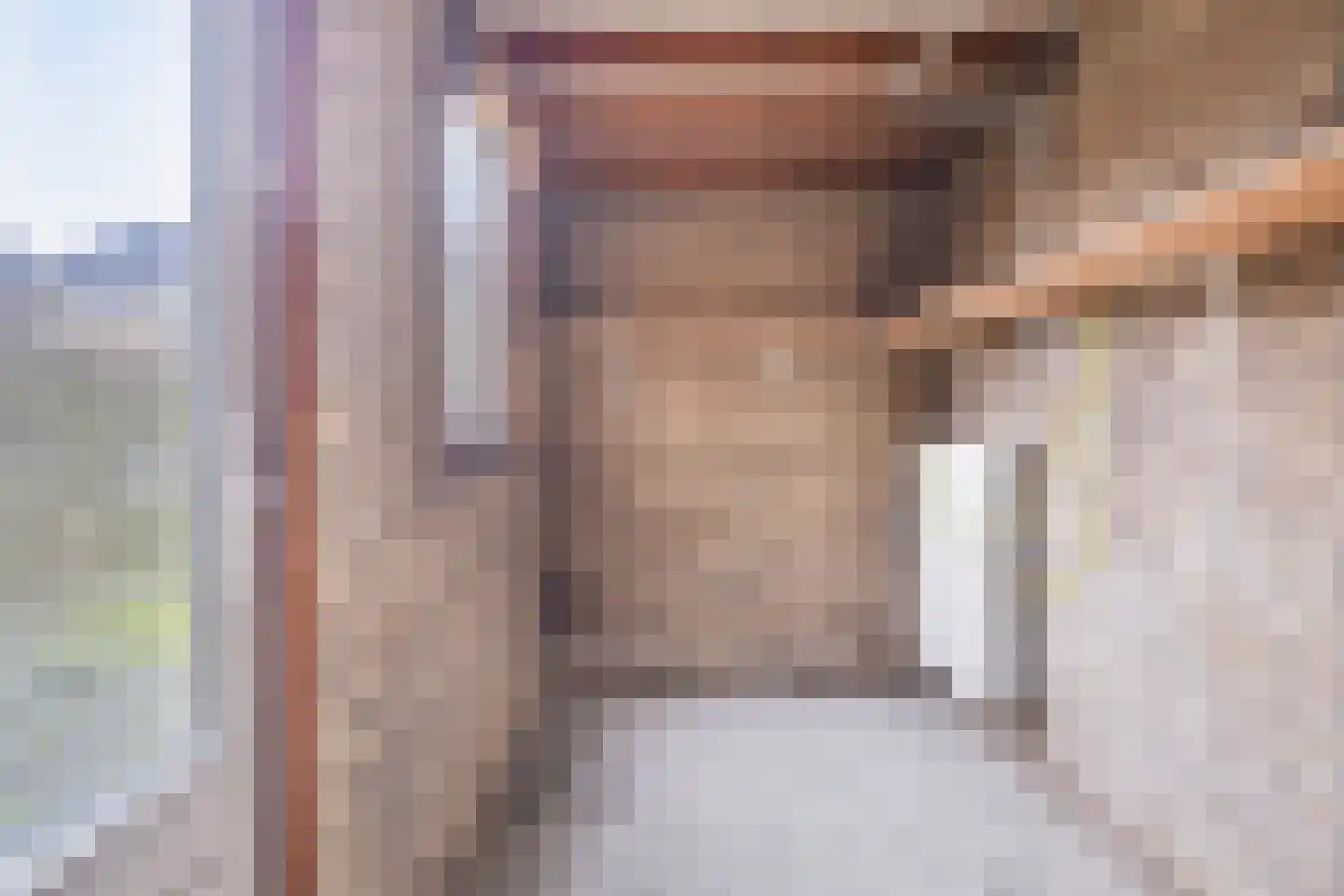't Zuden 25 Leek thumbnail 11