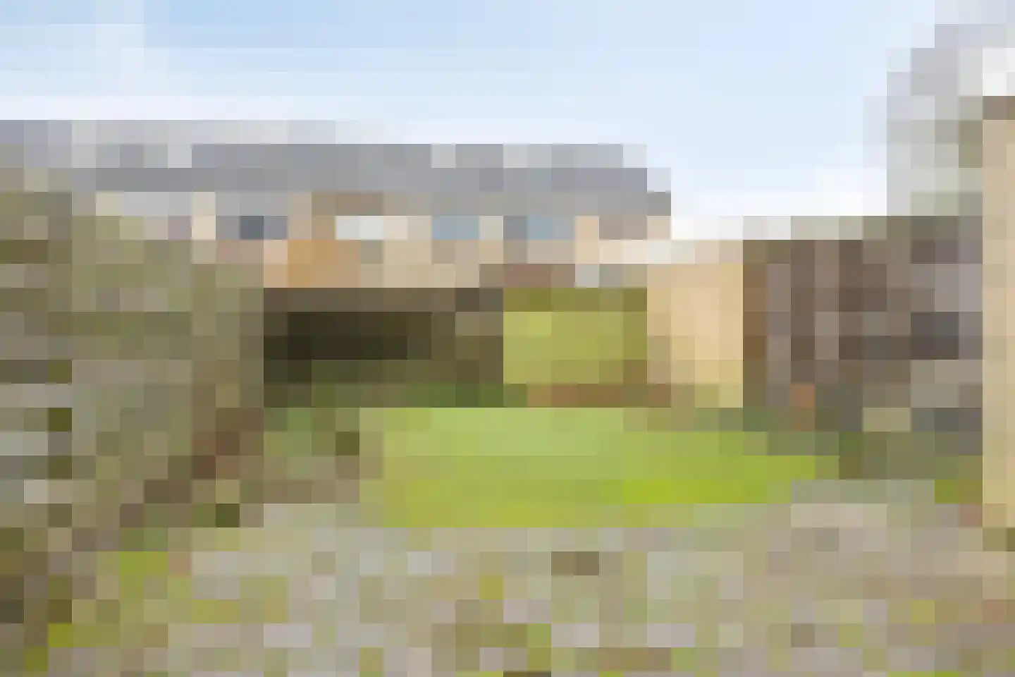 't Zuden 25 Leek thumbnail 12
