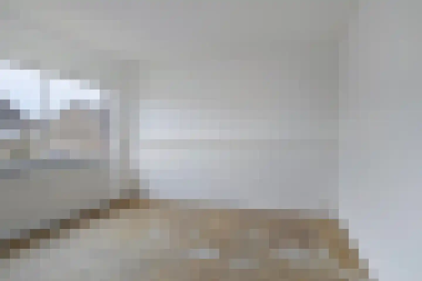't Zuden 25 Leek thumbnail 13