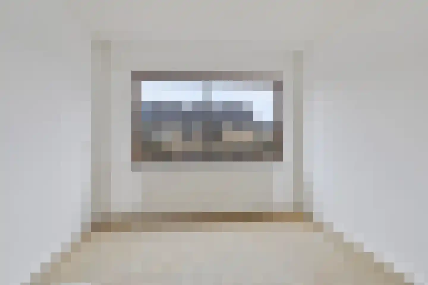 't Zuden 25 Leek thumbnail 17
