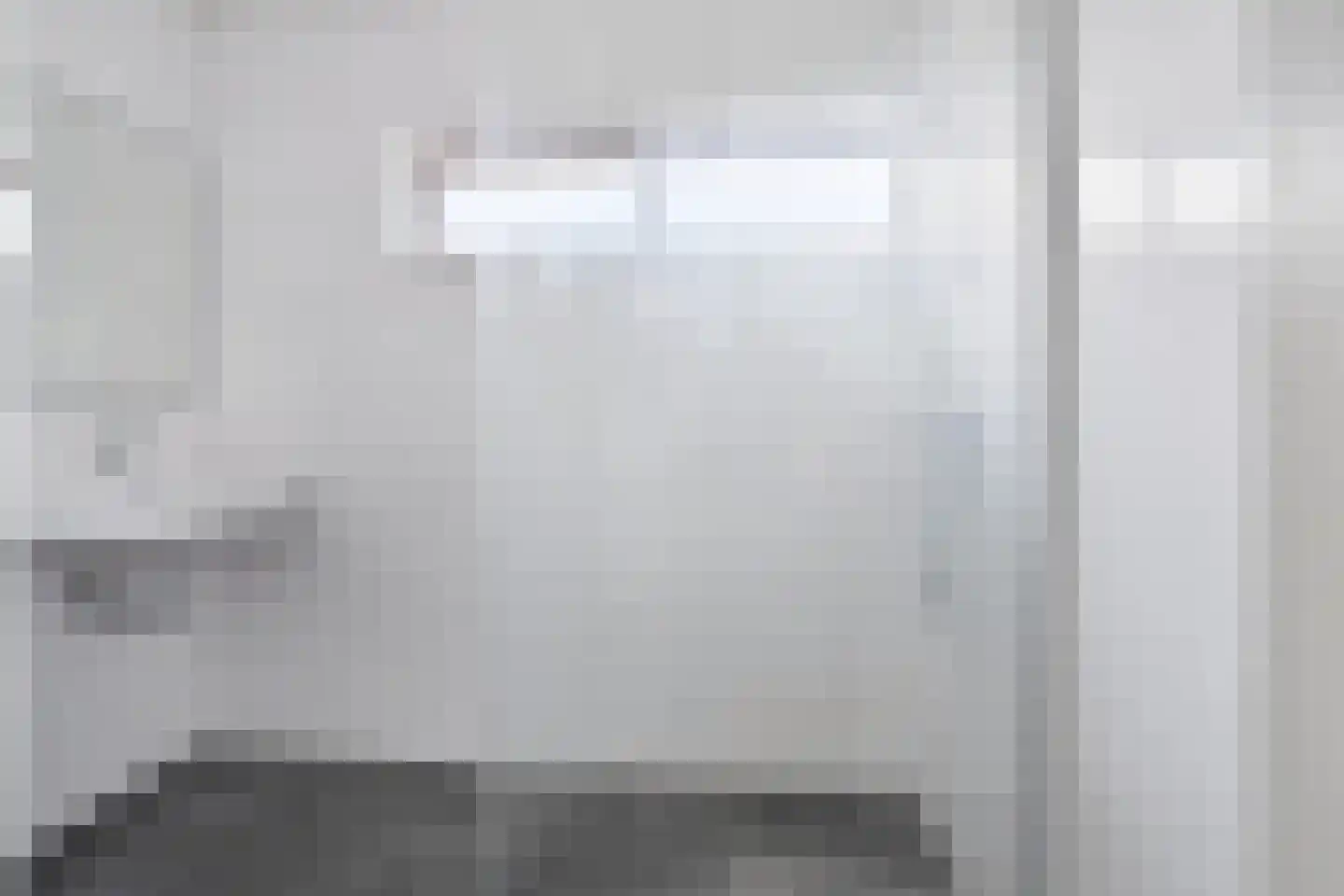 't Zuden 25 Leek thumbnail 19