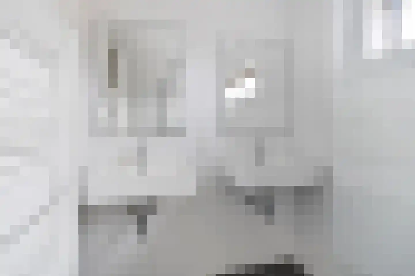 't Zuden 25 Leek thumbnail 20