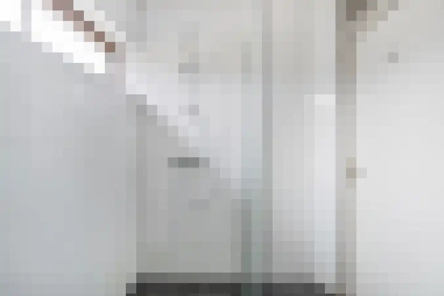 't Zuden 25 Leek thumbnail 21
