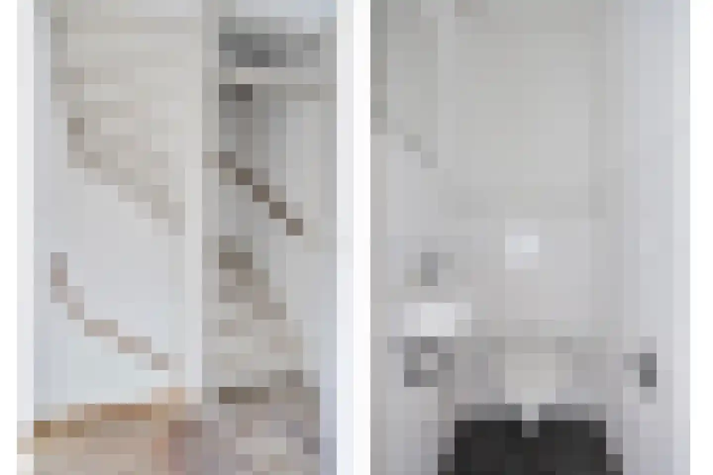 't Zuden 25 Leek thumbnail 22
