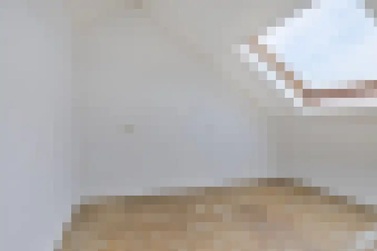 't Zuden 25 Leek thumbnail 25