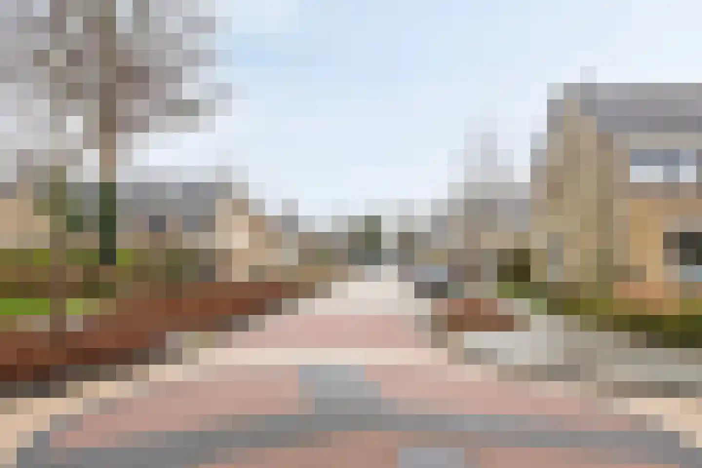 't Zuden 25 Leek thumbnail 27