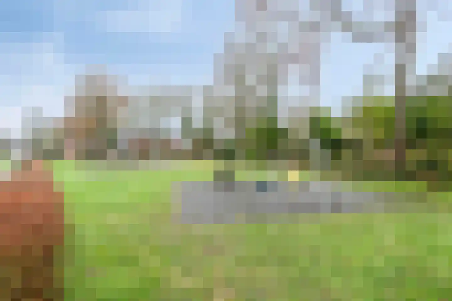't Zuden 25 Leek thumbnail 29
