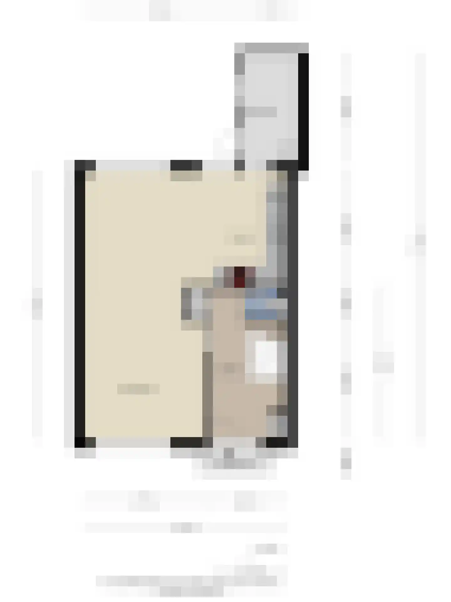 't Zuden 25 Leek thumbnail 30
