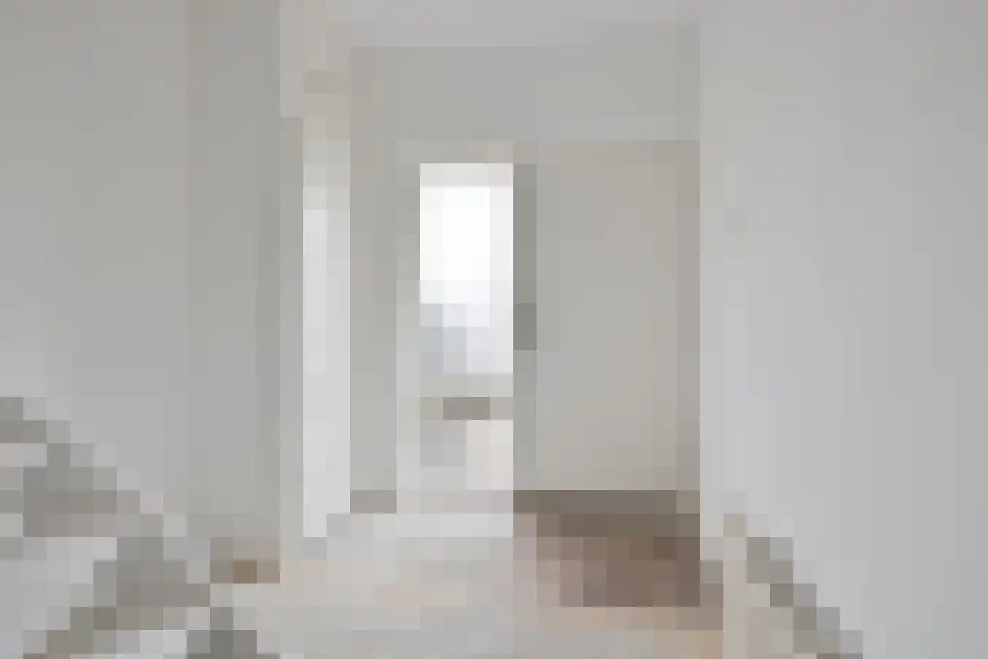 't Zuden 25 Leek thumbnail 6
