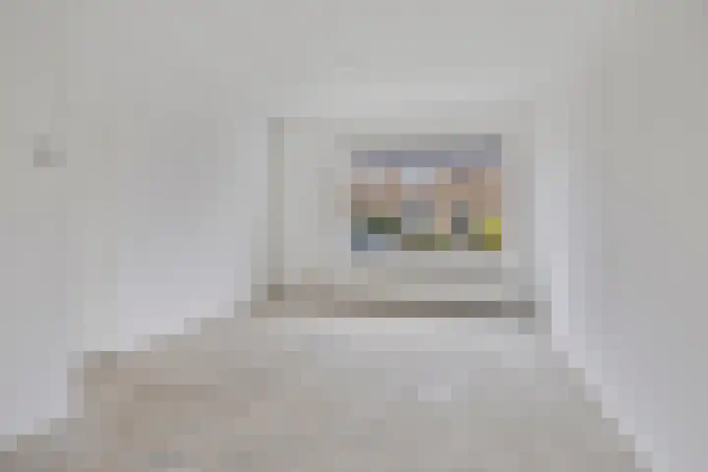 't Zuden 25 Leek thumbnail 7