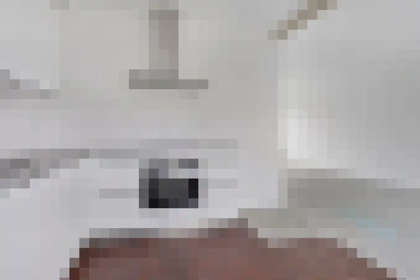 't Zuden 25 Leek thumbnail 9