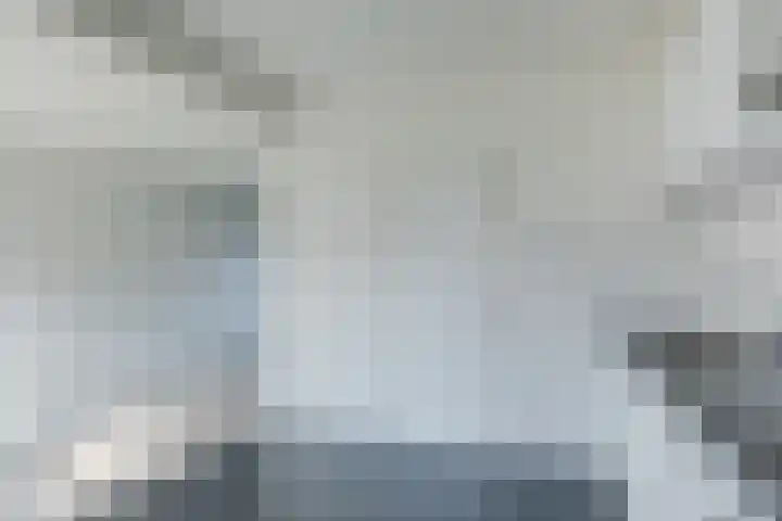 't Zuden 27 Leek thumbnail 10