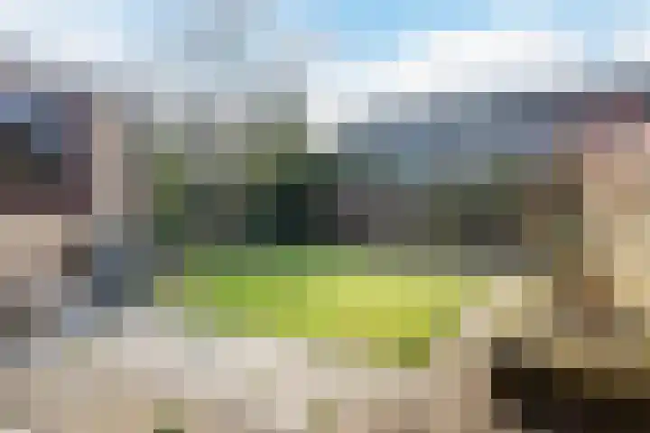 't Zuden 27 Leek thumbnail 12