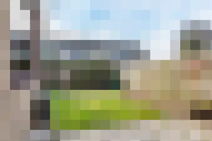 't Zuden 27 Leek thumbnail 13
