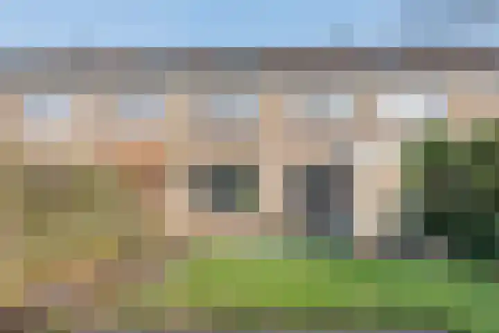 't Zuden 27 Leek thumbnail 14