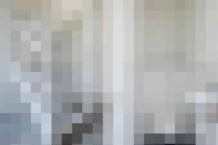 't Zuden 27 Leek thumbnail 15