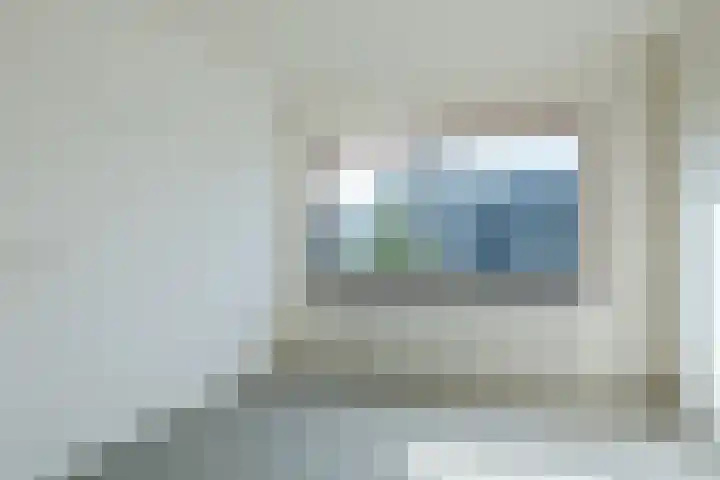 't Zuden 27 Leek thumbnail 16